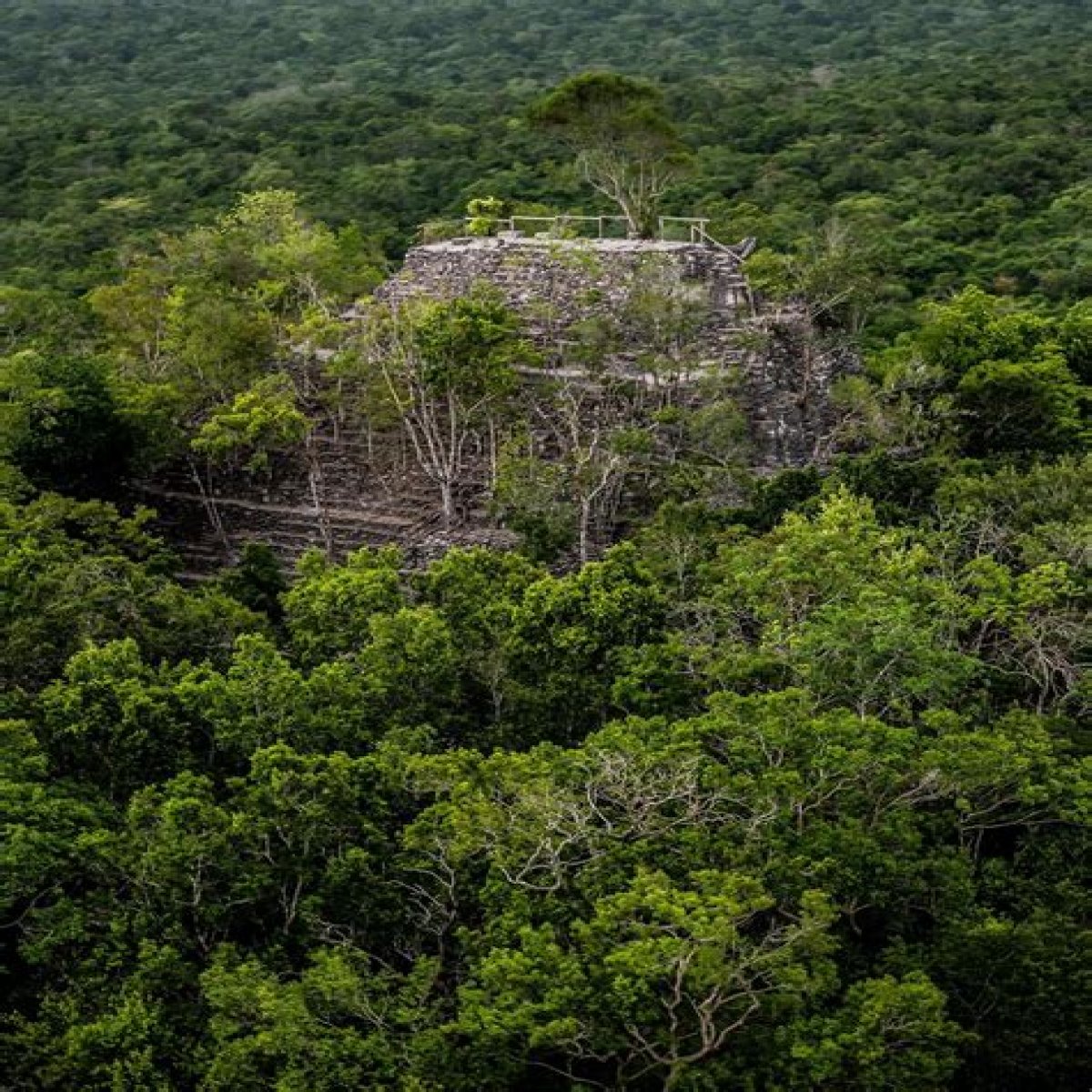 10+1 Maya Pyramids Hidden in the Yucatan Tropical Rainforests