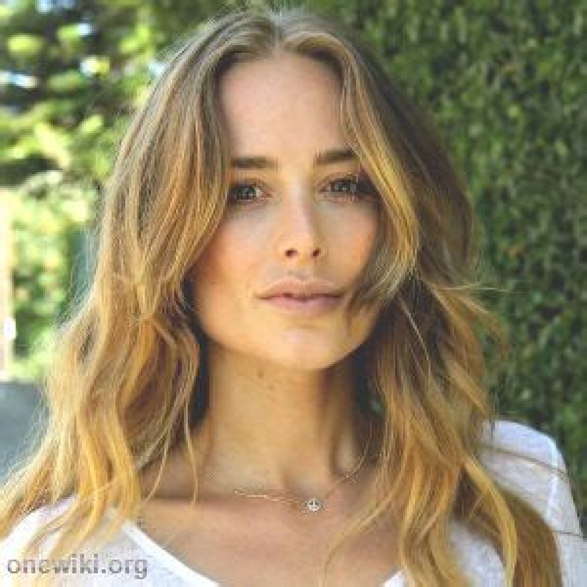 Anine Bing Net Worth