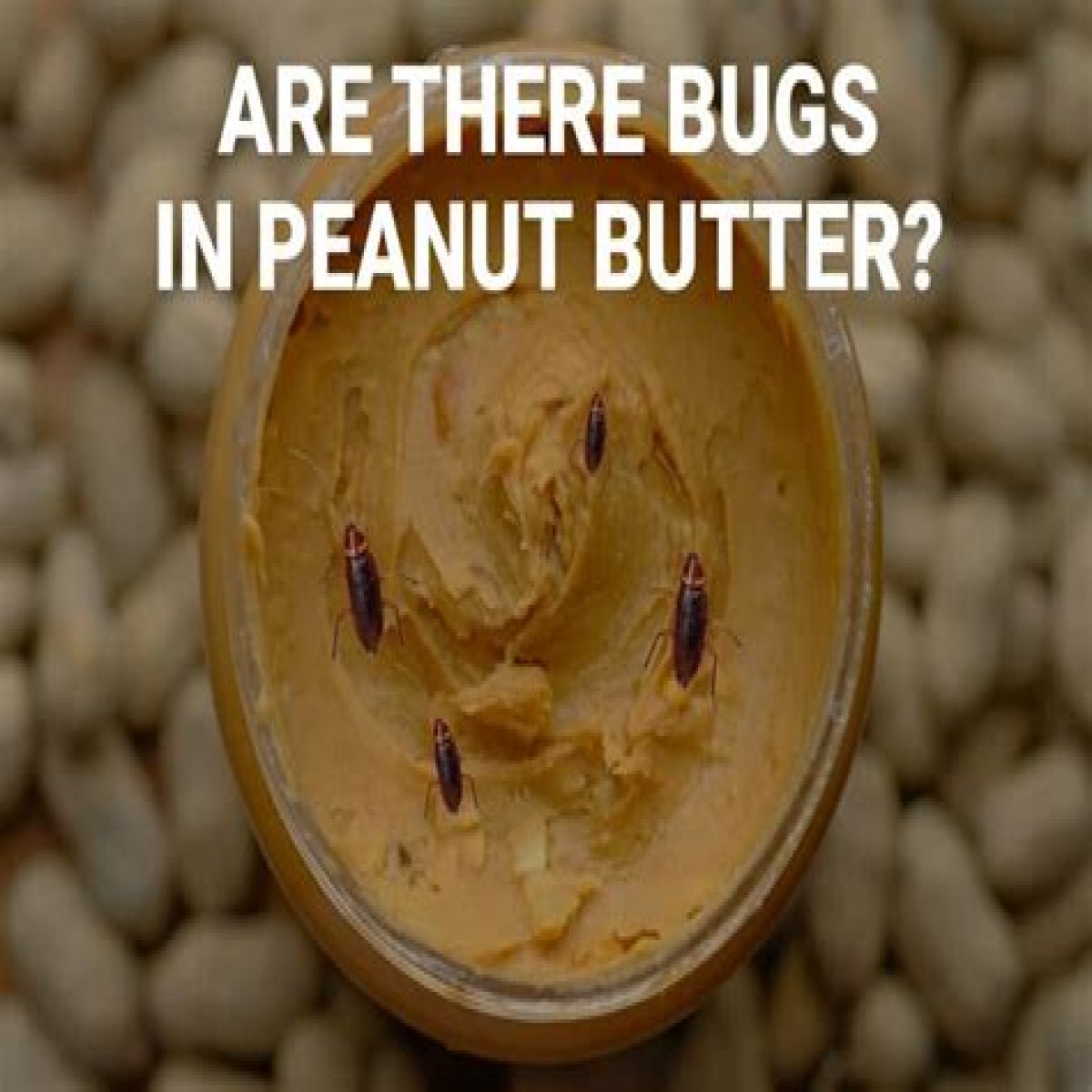 Are there bugs in peanut butter?