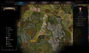 Baldur's Gate 3: Should You Kill Monster Hunter Gandrel in BG3