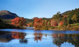 Best Fall Foliage Cruise Destinations