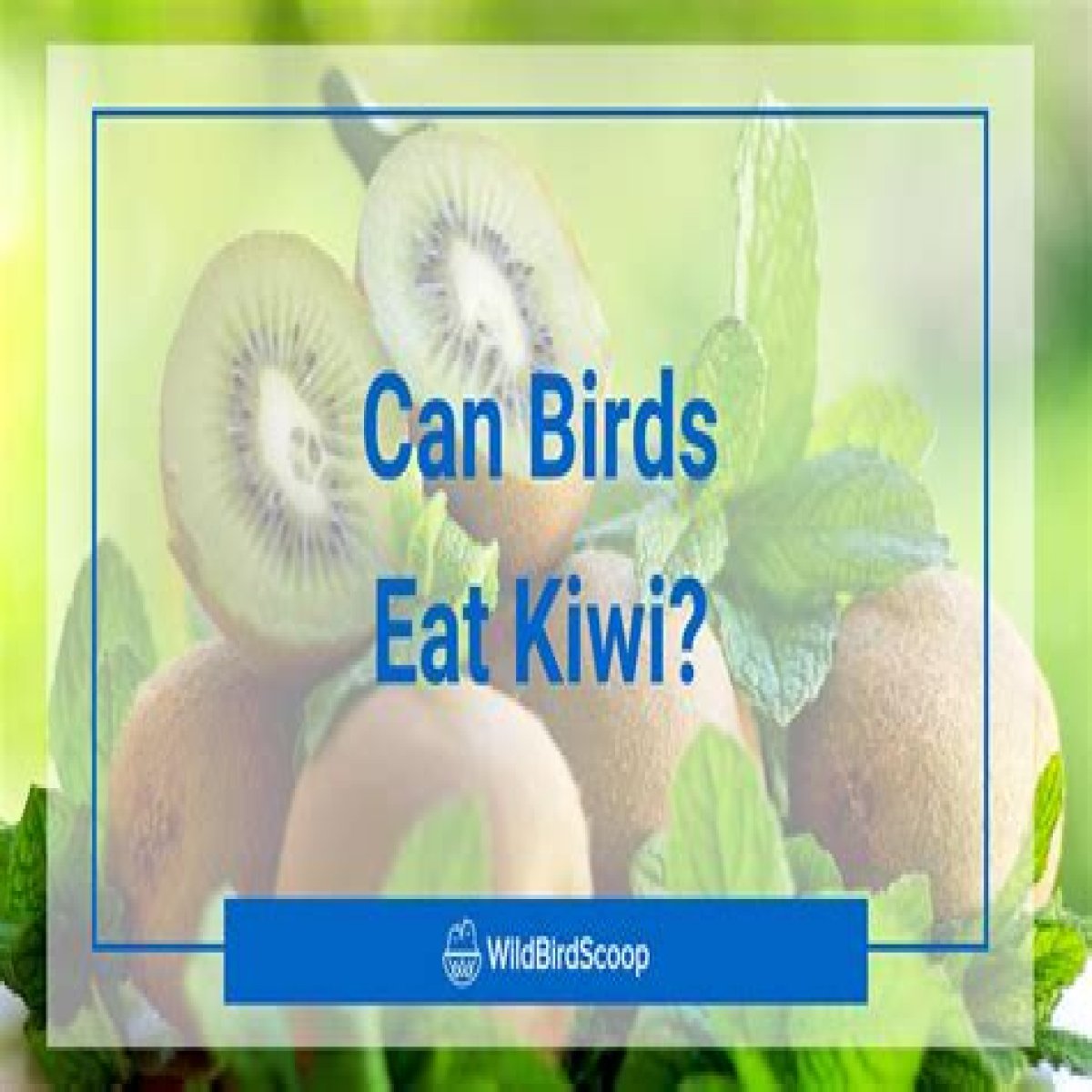 Can Birds Eat Herbs? - Kylon Powell