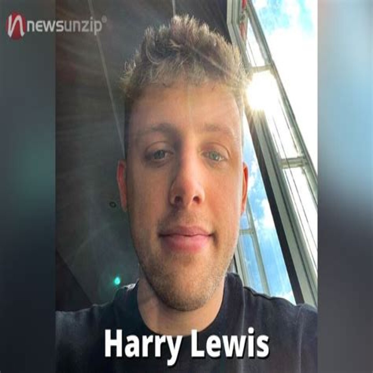 Henry Lewis Net Worth, Age, Height, Bio, Birthday, Wiki!