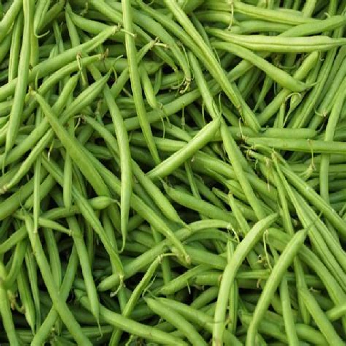 How Many Cups Of Green Beans In A Can?