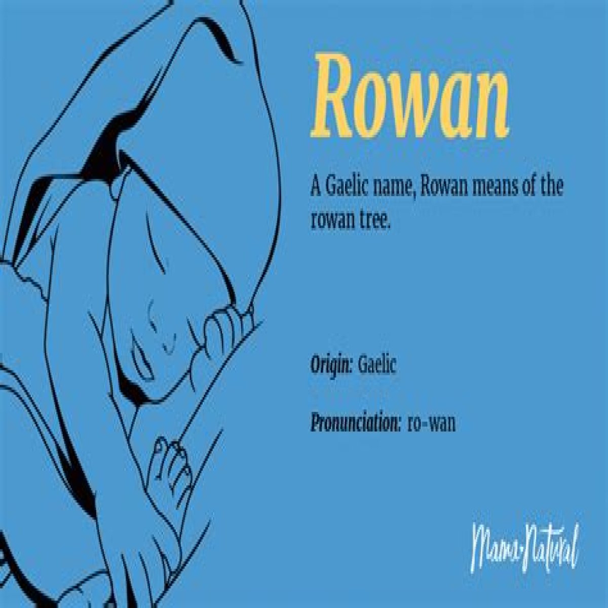 Rowan - Baby Name Meaning, Origin, and Popularity