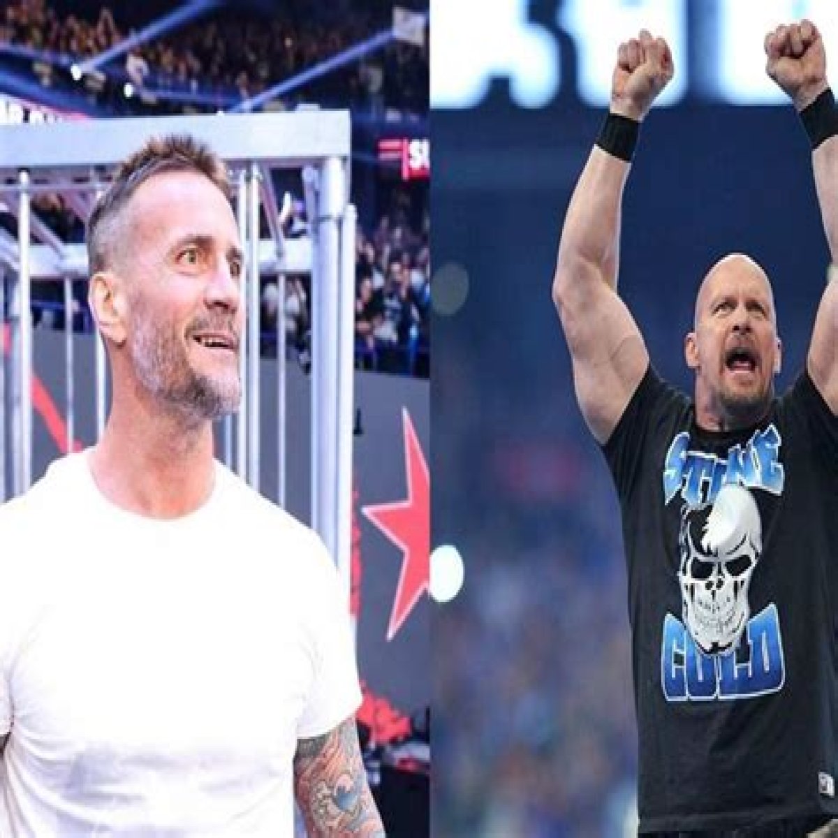 Steve Austin Comments On Potential Dream Match Against CM Punk