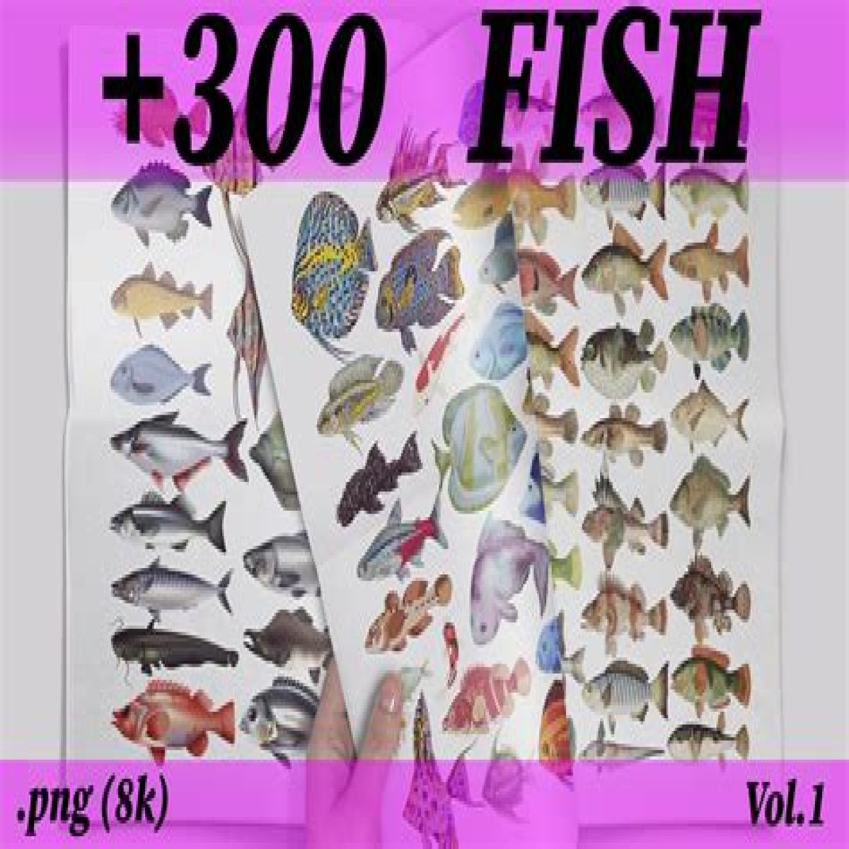 Tuna, Salmon, Tilapia, Flounder, Halibut