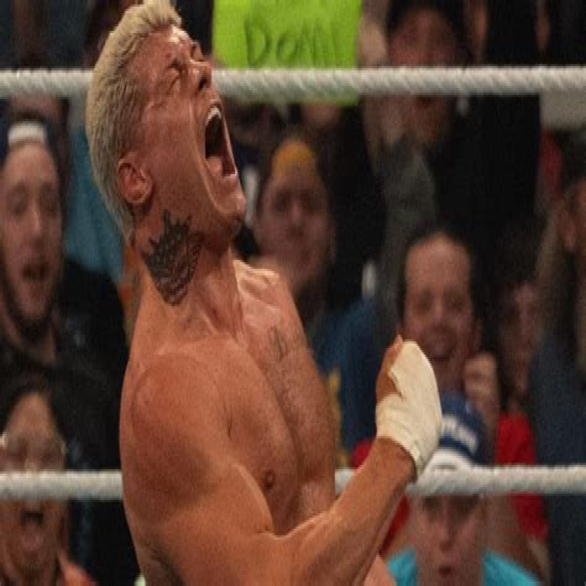 WWE Live Event Results From Portland, ME (12/3): Cody Rhodes And More